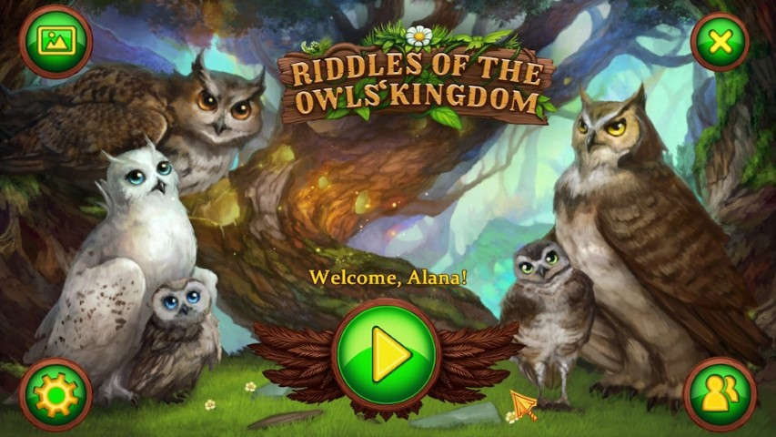 Riddles of the Owls Kingdom Schermafbeelding 4