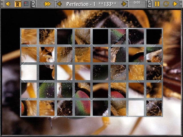 Sliders and Other Square Jigsaw Puzzles Screenshot 2