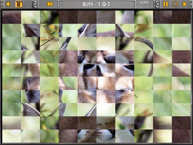 Sliders and Other Square Jigsaw Puzzles Schermafbeelding 3