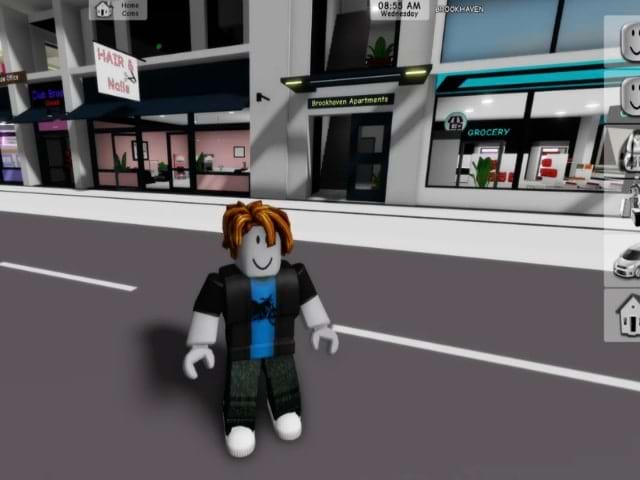 Roblox Schermafbeelding 2