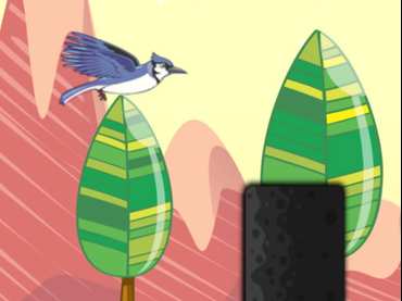Bird Flying Bird Flying