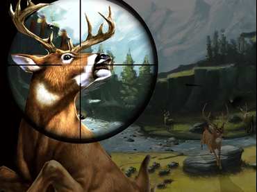 Deer Hunter Deer Hunter