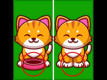 Find The Difference Animal Find The Difference Animal