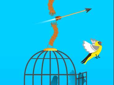 Free Birds Free Birds