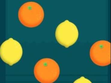 Fruit Juice Fruit Juice
