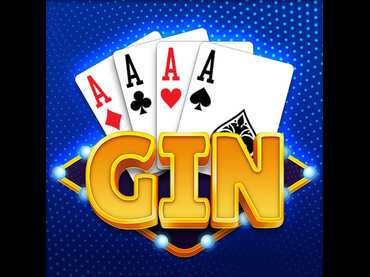 Gin Rummy Gin Rummy