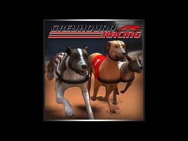 Greyhound Racing Greyhound Racing