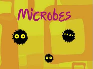 Microbes - Aningame Microbes - Aningame