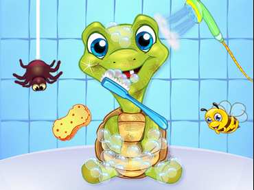 Pet Wash Pet Wash