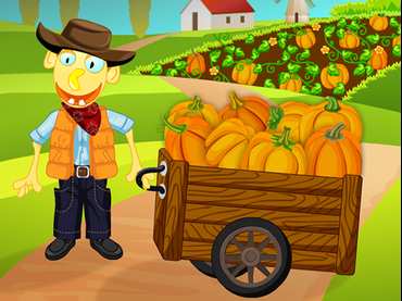 Pumpkin Patch Pumpkin Patch