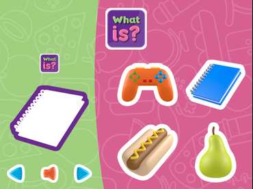 What is What is